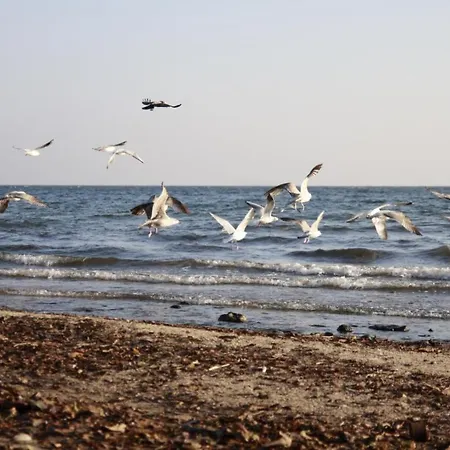 Luksusowy W Sopocie Apartamento Sopot