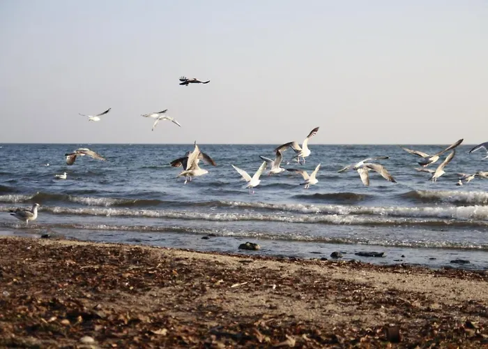 Luksusowy W Sopocie Apartment Sopot